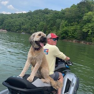 Meet your Posher, Brian